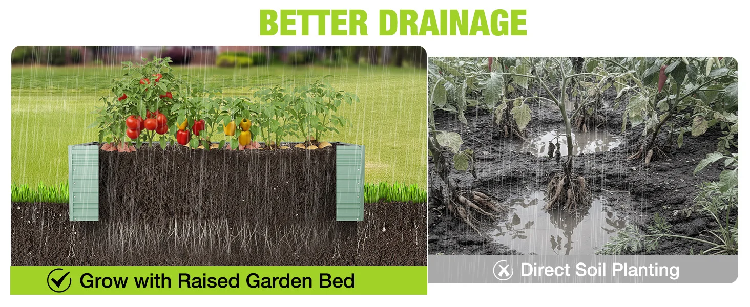 Split garden graphic shows raised garden bed with soil and plants, and Direct Soil Planting in wet ground