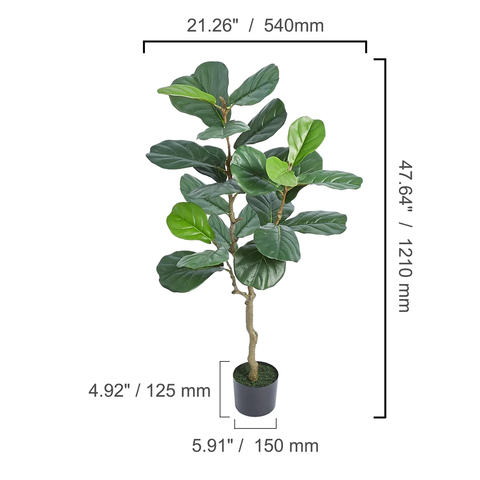 Olive Tree Decoration with Stable Base - Image 11