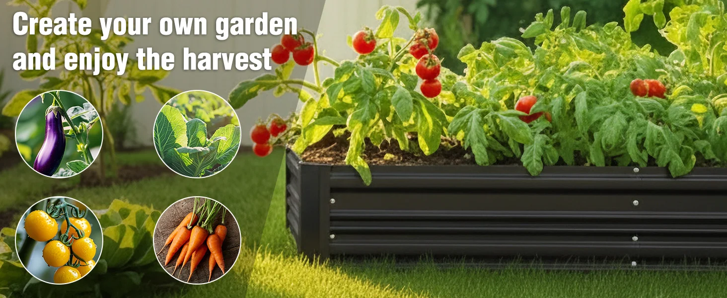 Raised garden bed with leafy plants and red tomatoes, with inset photos of eggplant, peas, and carrots