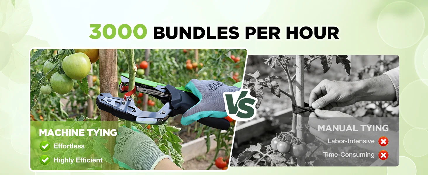 Garden machine tying tomatoes with gloves beside manual tying, showing innovation and quality in secure durable work