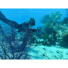 ProShot Dive 2.0 Universal iPhone Case