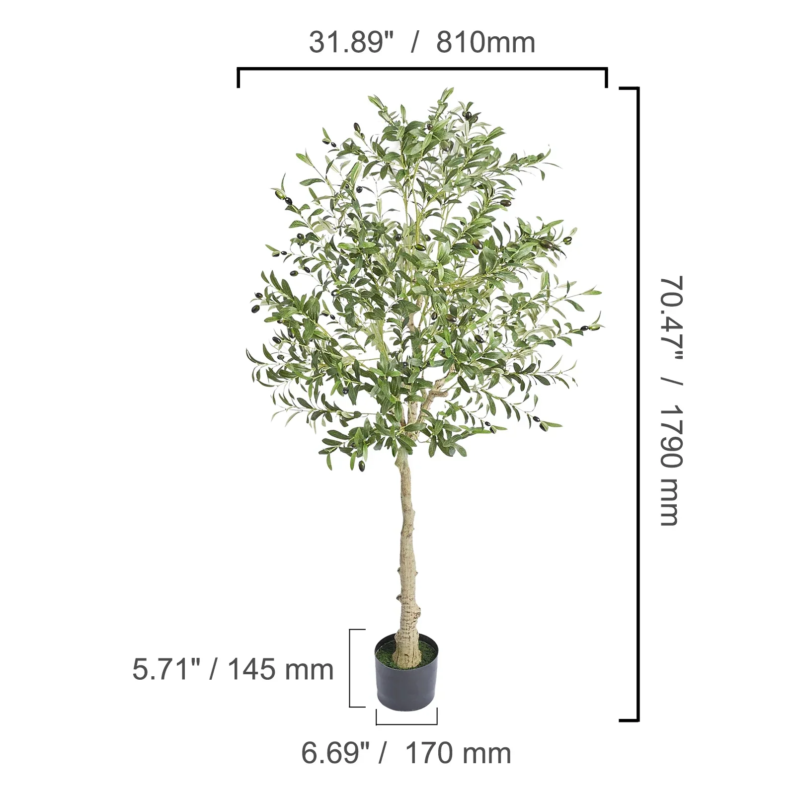 Olive Tree Decoration with Stable Base - Image 9