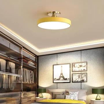 Chic Two-Color LED Ceiling Light with Convenient Remote Control