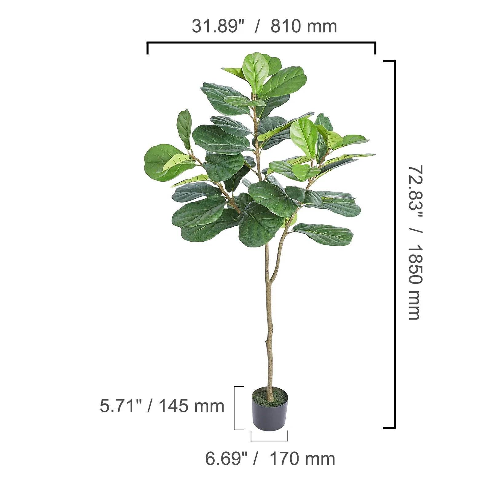 Olive Tree Decoration with Stable Base - Image 5