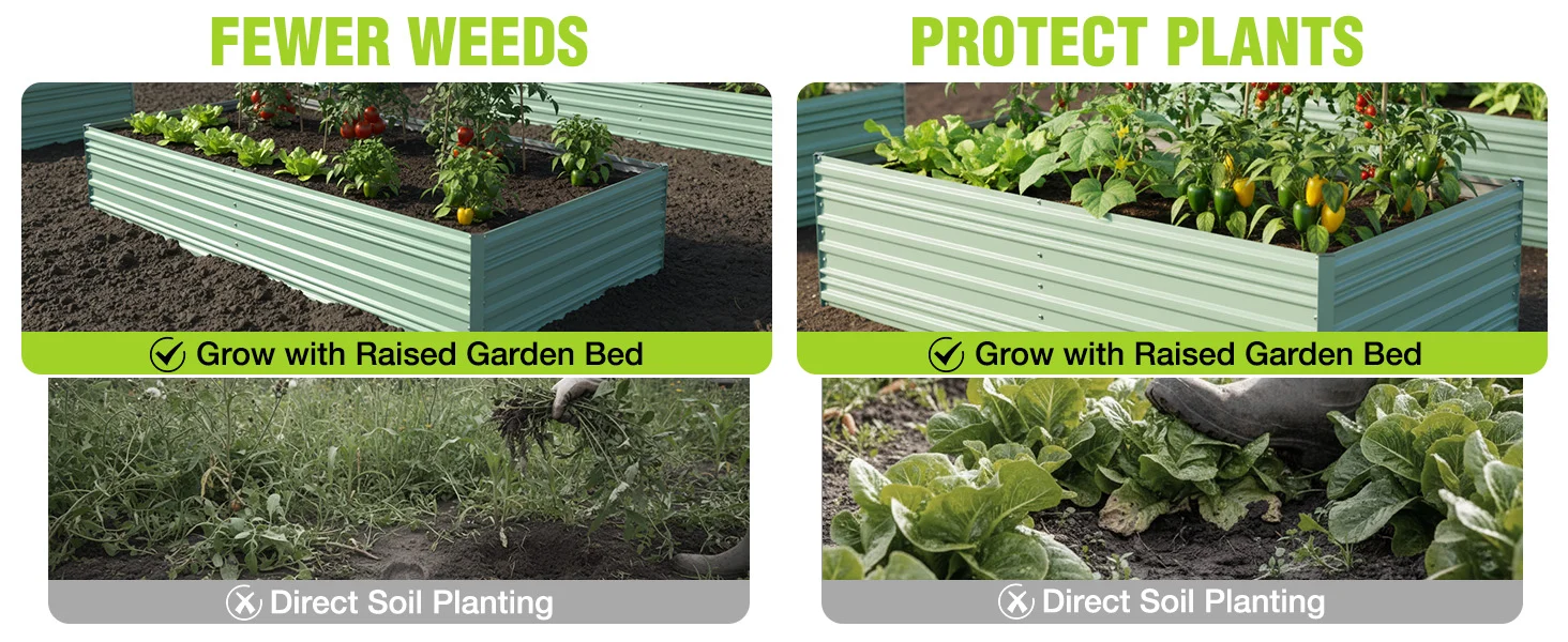 Raised garden bed with leafy plants, fewer weeds and direct soil planting shown in two panels