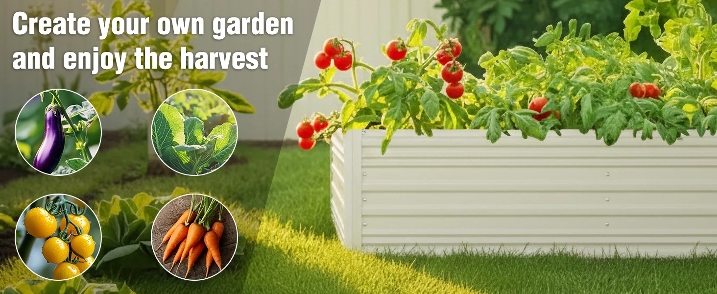 Garden bed with leafy plants and red tomatoes beside a green lawn, with circles showing eggplant, peas, and carrots
