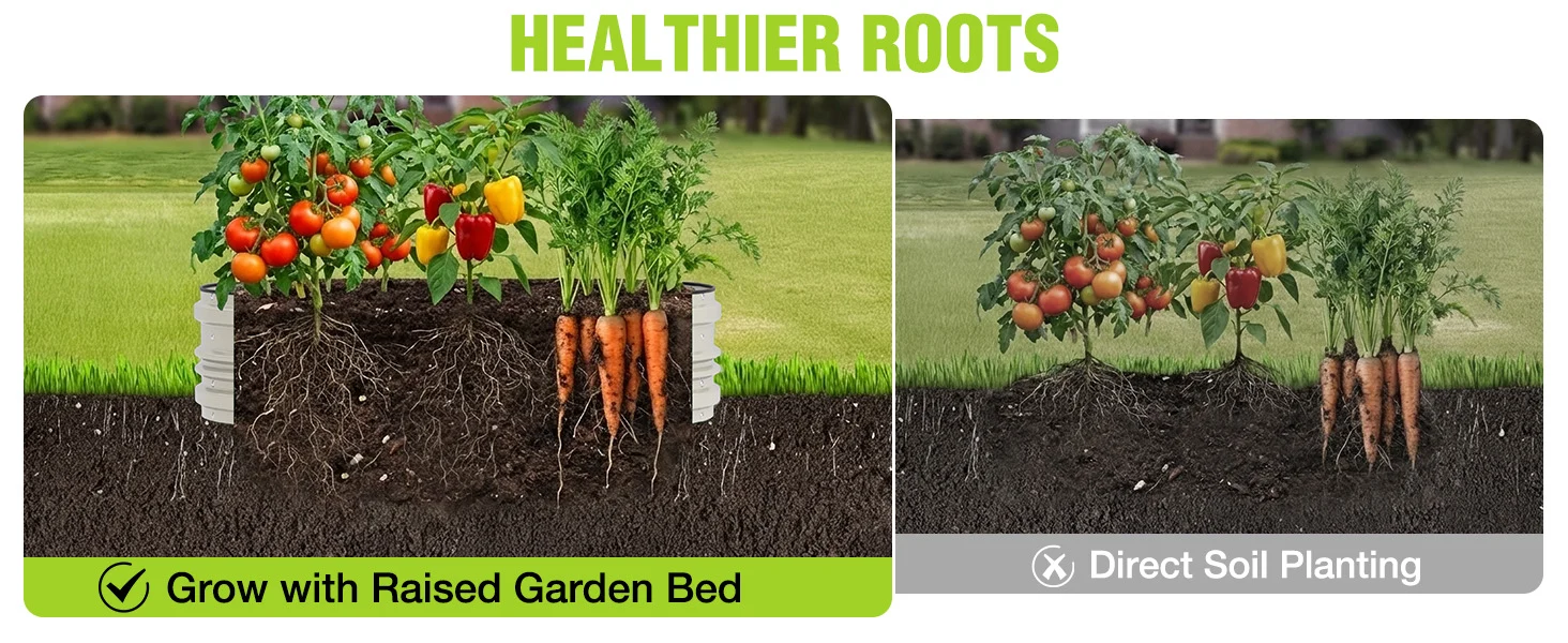 Raised garden bed with tomato and carrot plants, Direct Soil Planting and Grow with Raised Garden Bed text