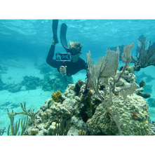 ProShot Dive 2.0 Universal iPhone Case