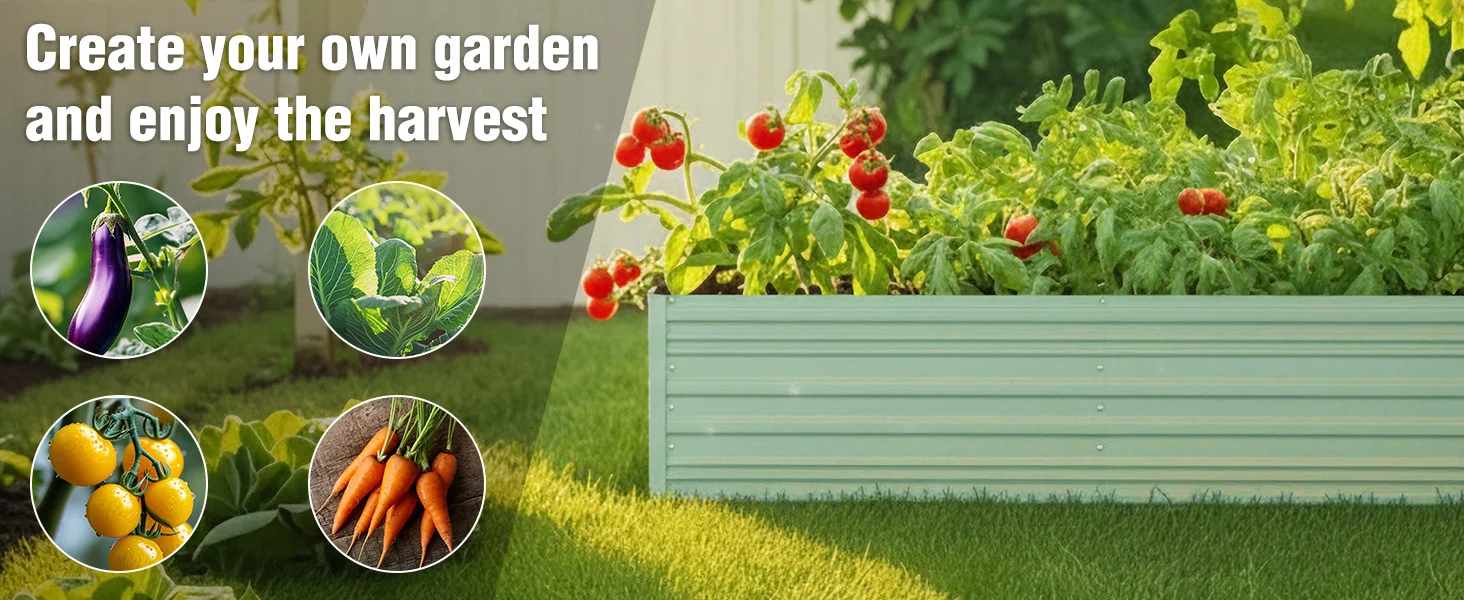 Garden bed with leafy plants and red berries, plus inset photos of eggplant, beans, and carrots for innovation and quality