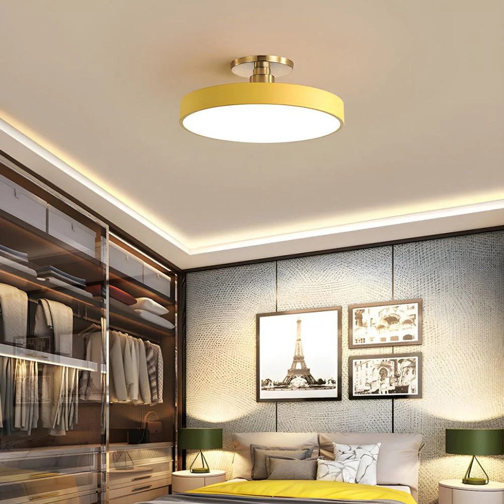 Chic Two-Color LED Ceiling Light with Convenient Remote Control