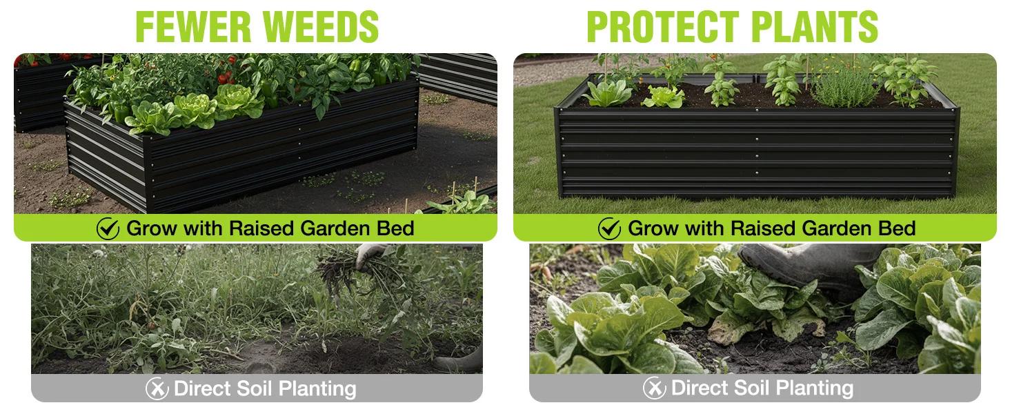 Raised garden bed with leafy greens, showing fewer weeds and direct soil planting, with innovation and quality