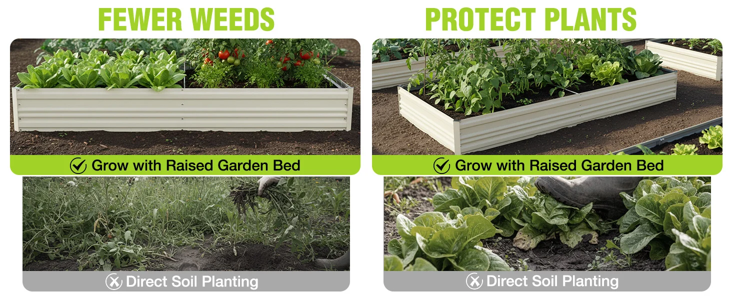Raised garden beds with leafy plants and soil, showing fewer weeds and direct soil planting in a garden
