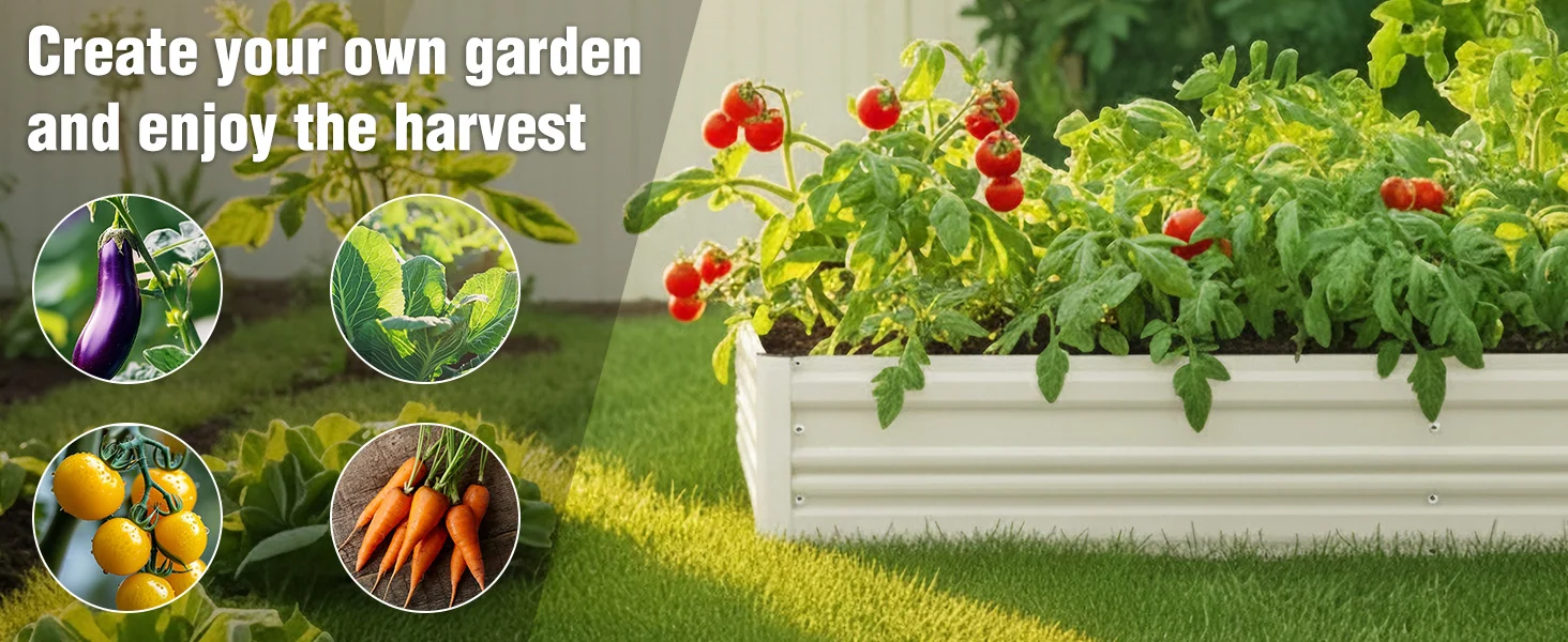 Raised garden bed with leafy greens and red tomatoes, with inset photos of eggplant, lettuce, and carrots