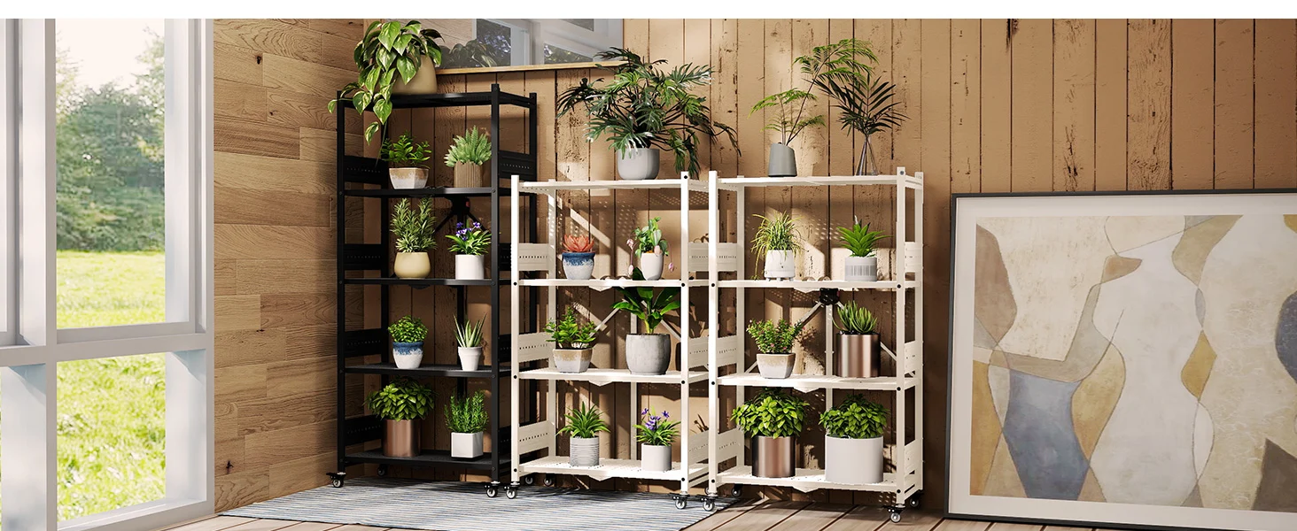 Indoor plant display shelves with potted greenery, innovation and quality in a tidy modern room setting
