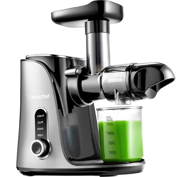 AMZCHEF Slow Juicer with Two Speed Modes GM3001 Gray