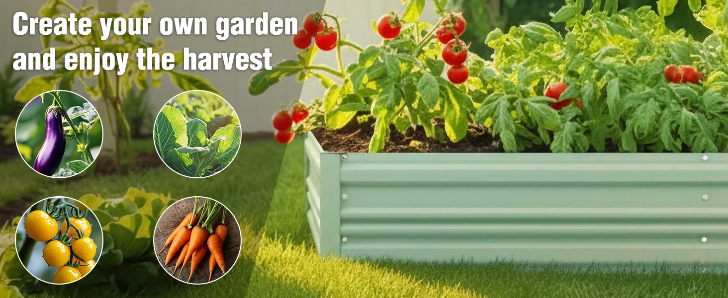 Garden bed with green leafy plants and red tomatoes, with circular photos of eggplant, beans, and carrots