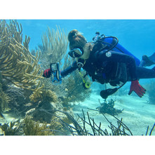 ProShot Dive 2.0 Universal iPhone Case