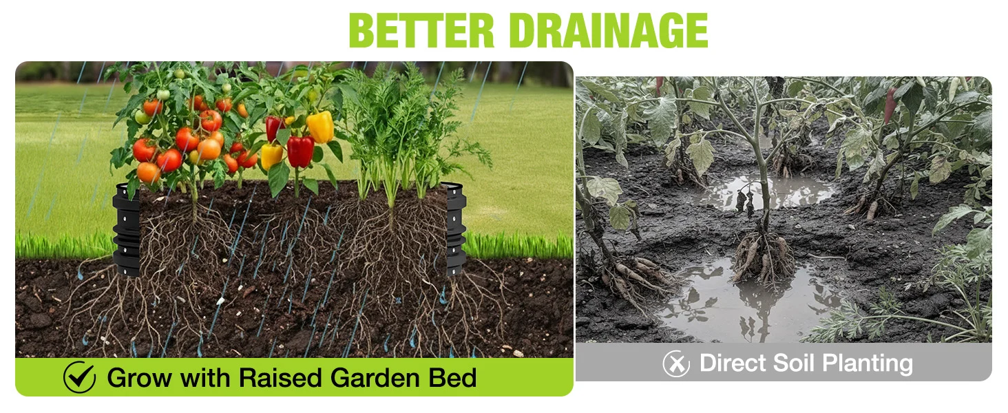 Garden raised bed with soil and roots shown with rain, plus direct soil planting in muddy ground, text Better Drainage