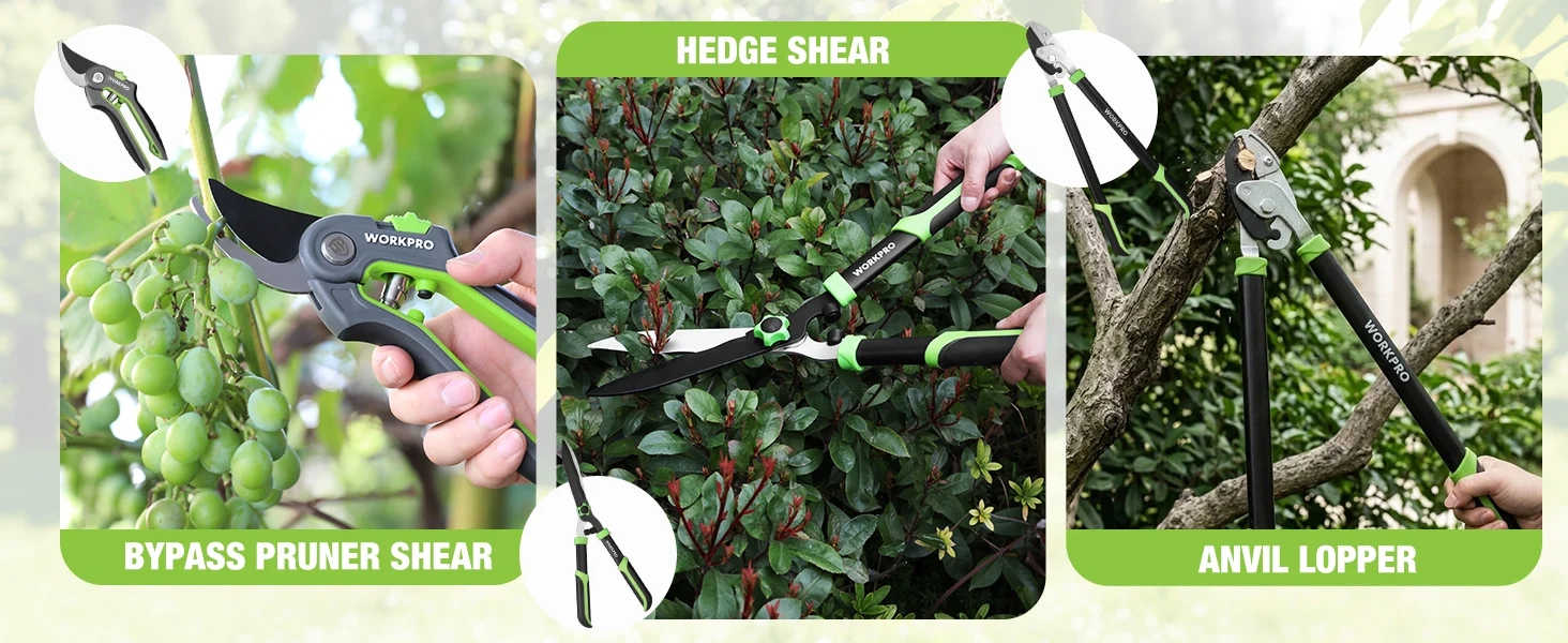 Garden hedge shear and bypass pruner shear with green handles, shown cutting leaves in outdoor landscaping