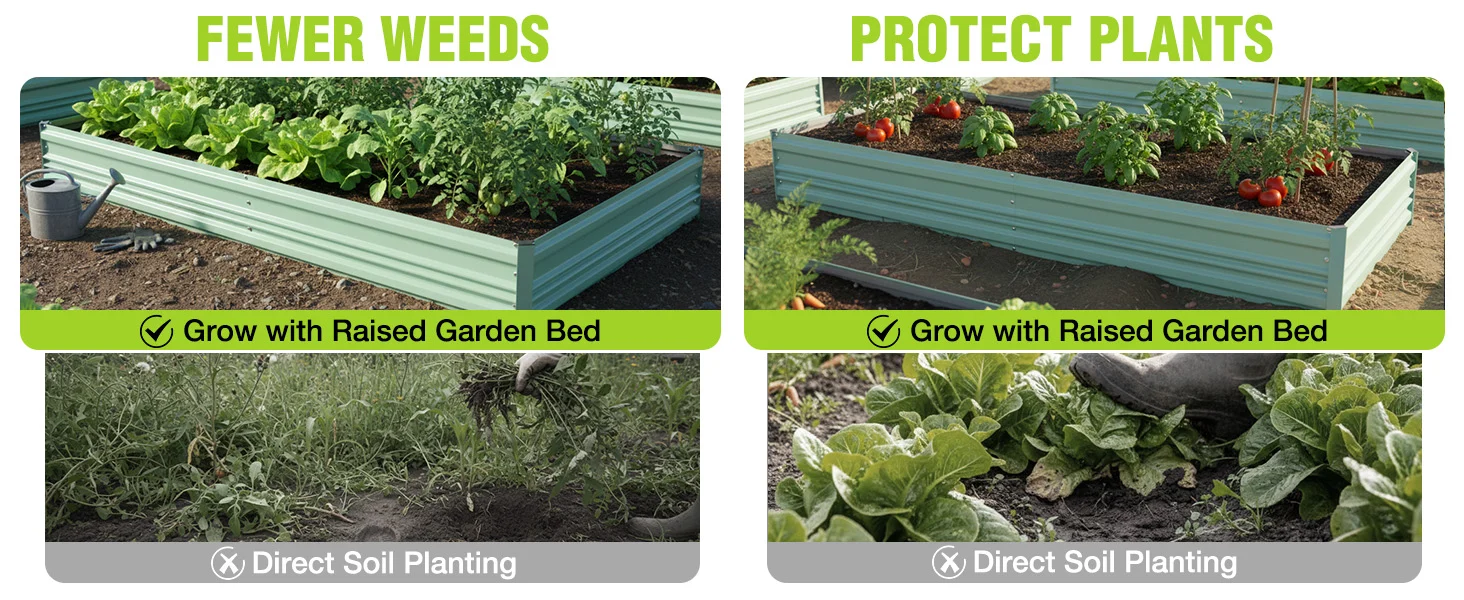 Raised garden bed with leafy plants, showing fewer weeds and protect plants, with soil planting guidance