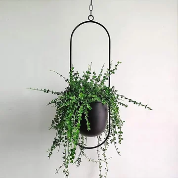 Sleek Iron Hanging Planter for Stylish Indoor Greenery