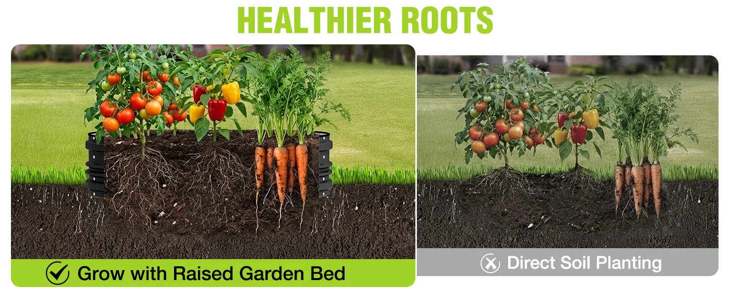 Raised garden bed with carrots and leafy plants in soil, plus text about Direct Soil Planting and Grow with Raised Garden Bed