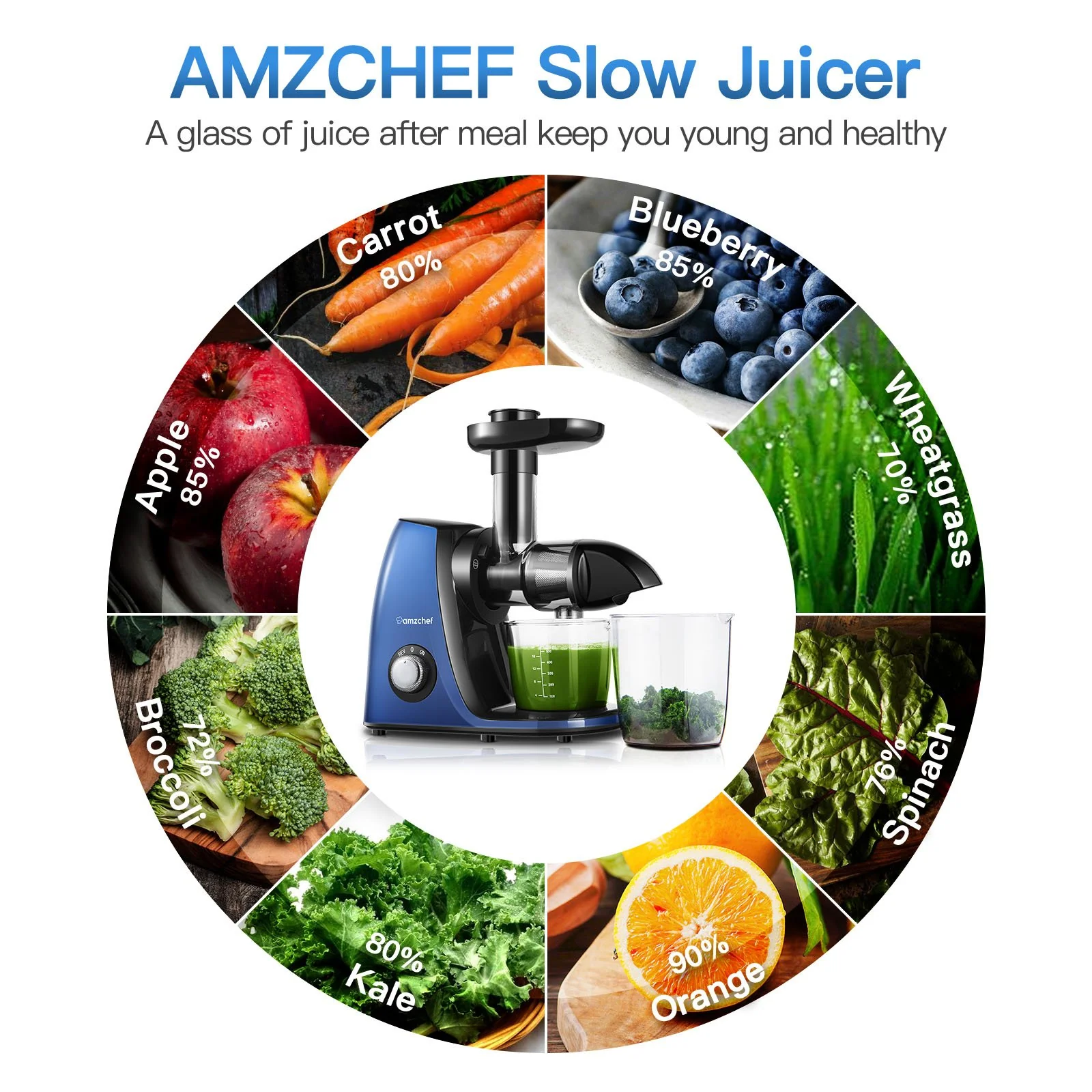 AMZCHEF Slow Juicer JS3005 Blue 4