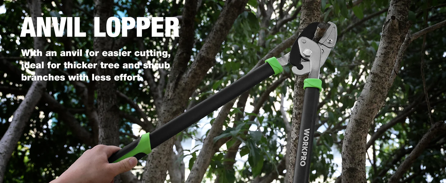 Pruning lopper with an anvil head and green handles cutting branches in a leafy outdoor garden, innovation and quality