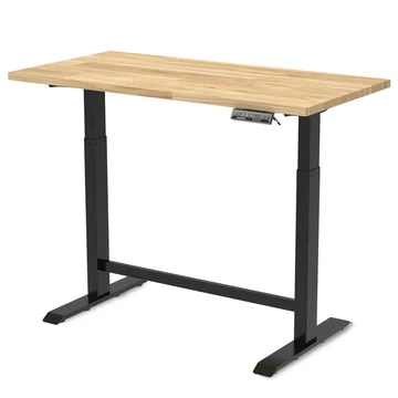 WORKPRO 48"×24" Electric Standing Height Adjustable Workbench with 48"x24" Wooden Top and Dual Motor