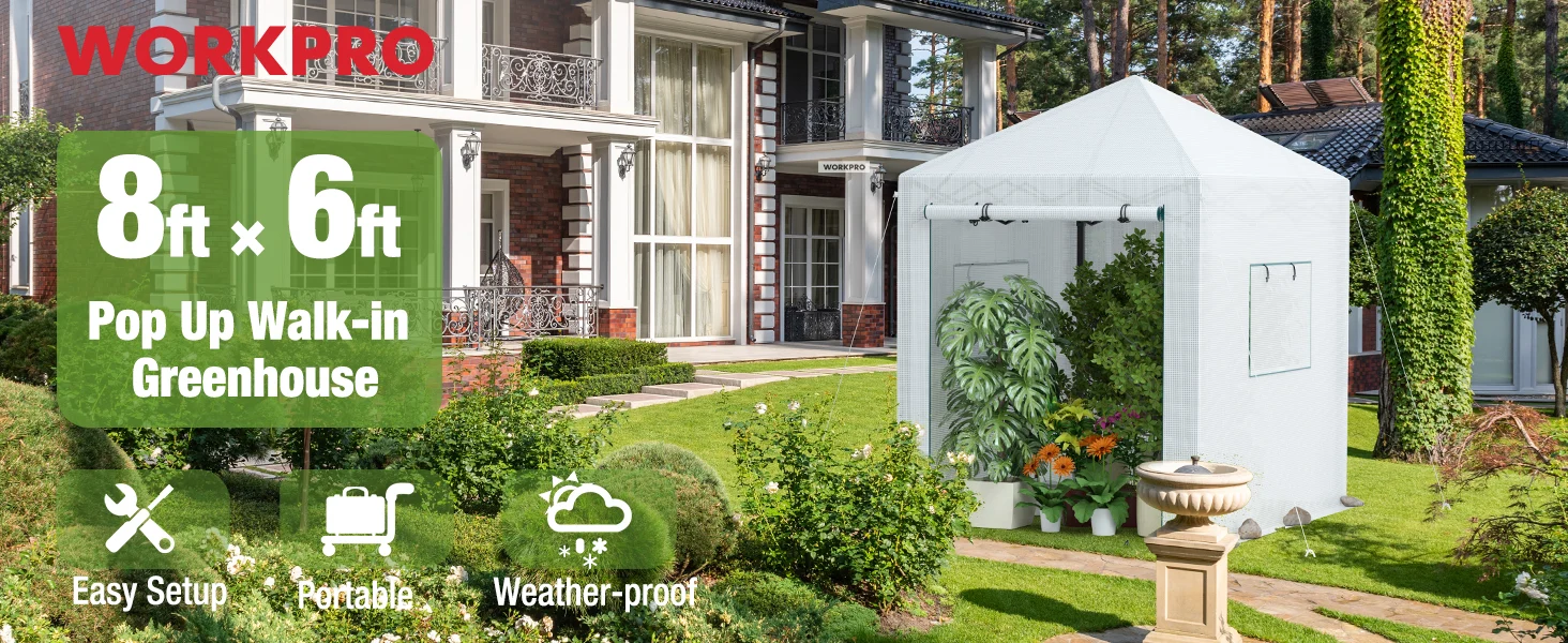 Pop up walk in greenhouse with white tent frame in a garden yard, showing easy setup and weather proof