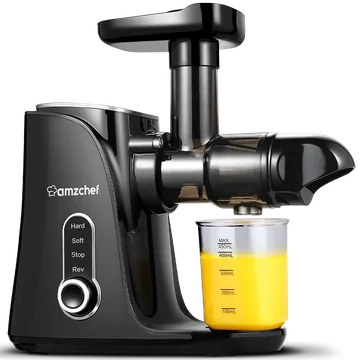 AMZCHEF Slow Juicer with Two Speed Modes GM3001 Black