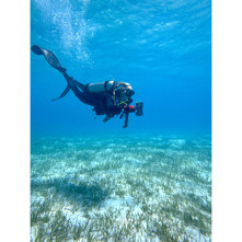 ProShot Dive 2.0 Universal iPhone Case