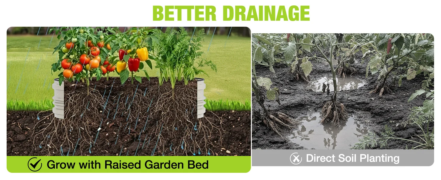 Garden raised bed cross section with roots and irrigation lines, plus direct soil planting in muddy ground