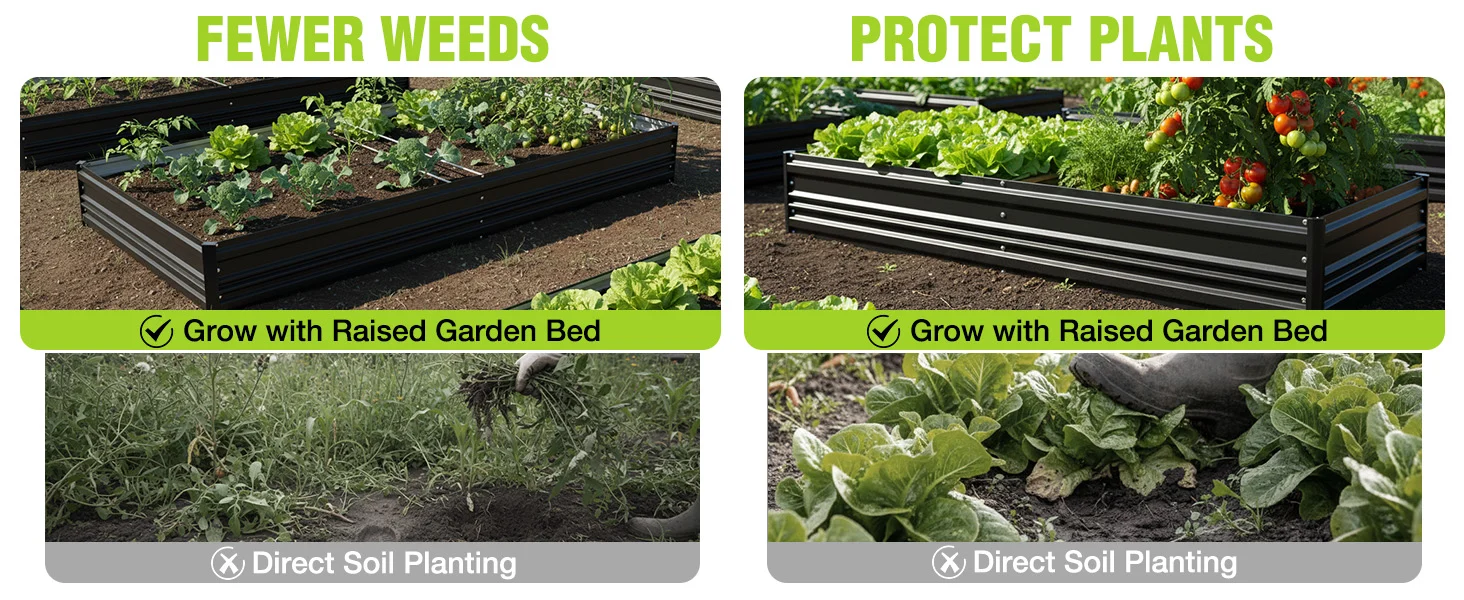 Raised garden beds with leafy plants in soil, with text about fewer weeds and direct soil planting