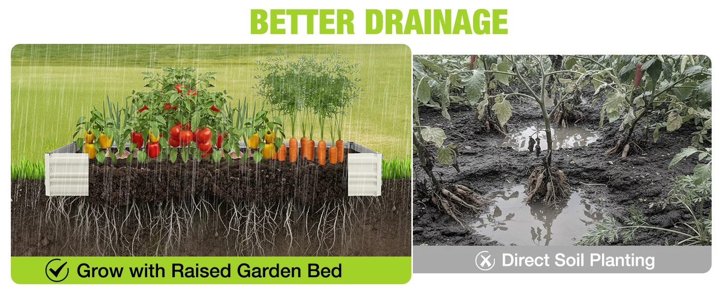 Raised garden bed with vegetables and soil, plus direct soil planting showing wet ground and roots