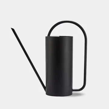 Elegant Stainless Steel Watering Can for Indoor Plants