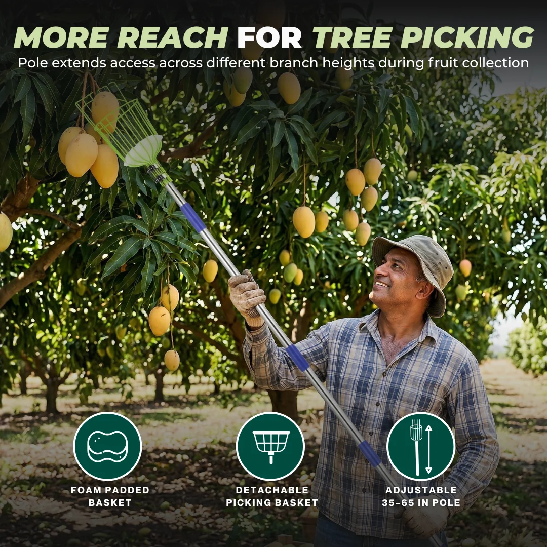 Adjustable Stainless Steel Fruit Picker Pole with Basket Claw