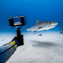 ProShot Dive 2.0 Universal iPhone Case