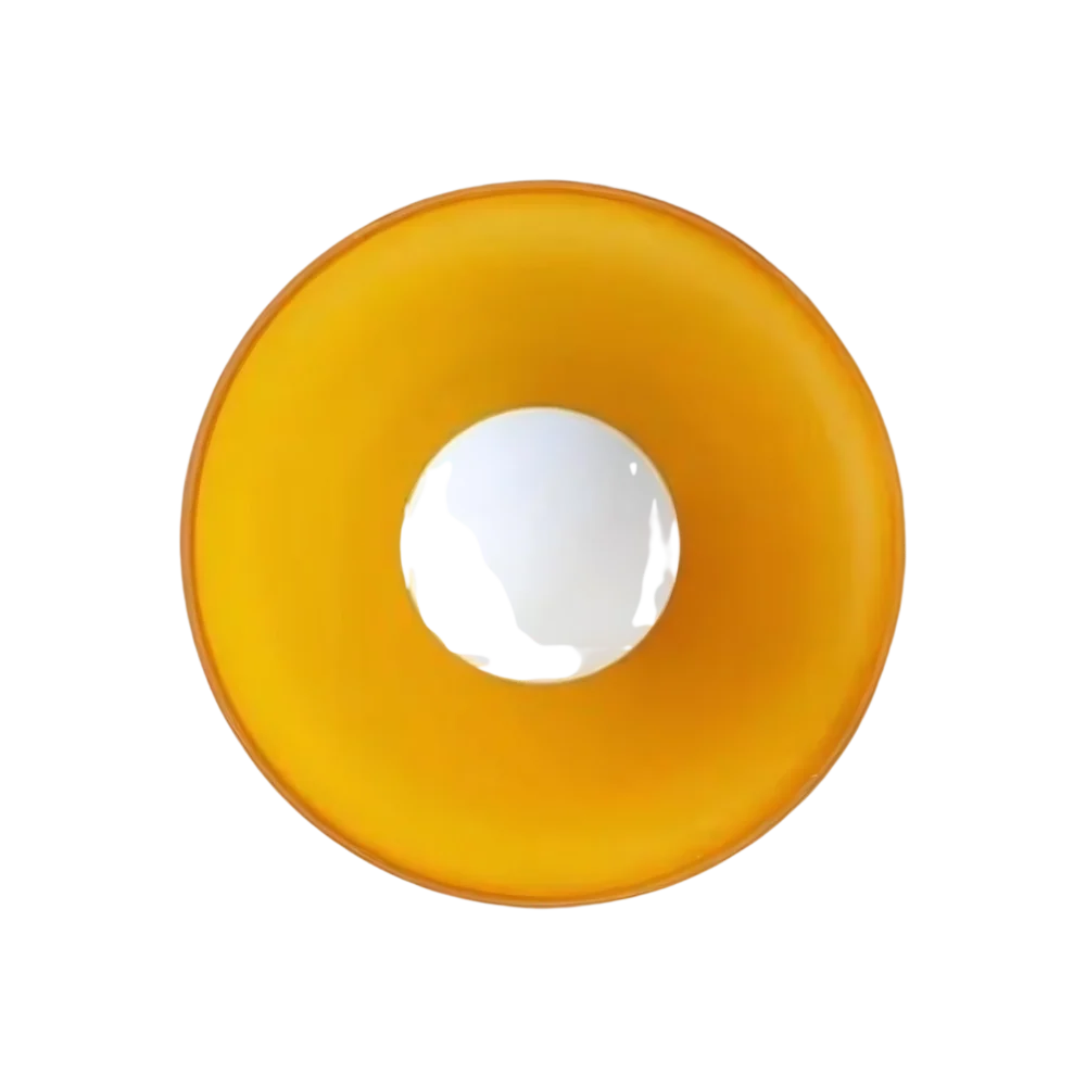 Elegant Dual-Mount Light Fixture with Glass Globe Design - Image 3