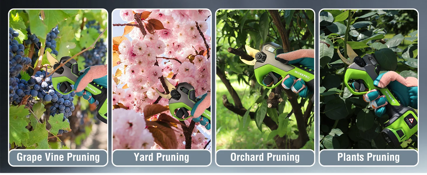 Gardening pruners in green and black being used for grape vine pruning, yard pruning, orchard pruning, and plants pruning