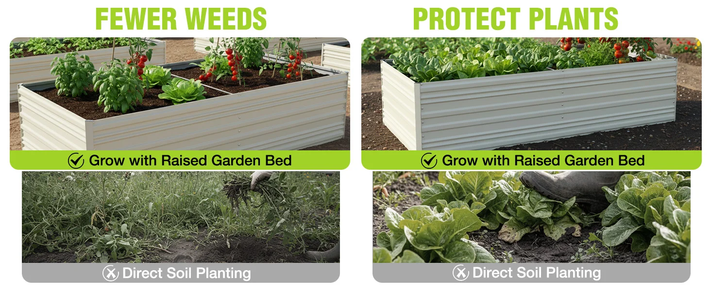 Raised garden beds with leafy greens and tomatoes, showing fewer weeds and direct soil planting