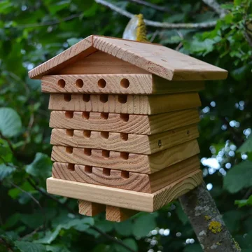 Eco-Friendly Cedar & Copper Bee Sanctuary with Custom Holes