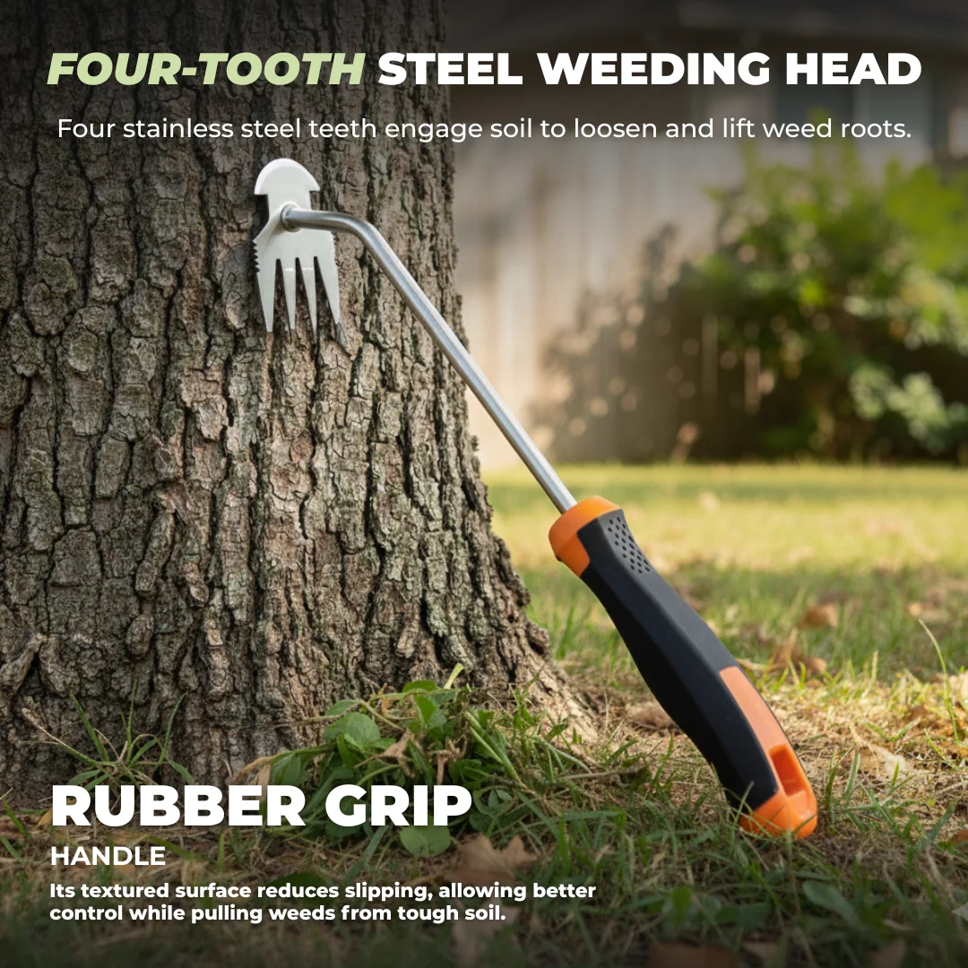 Heavy-Duty Stainless Steel Weeding Tool with Long Handle